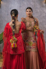  - Image 2